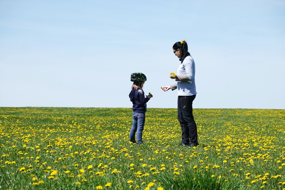 Na loukách nad chalupou