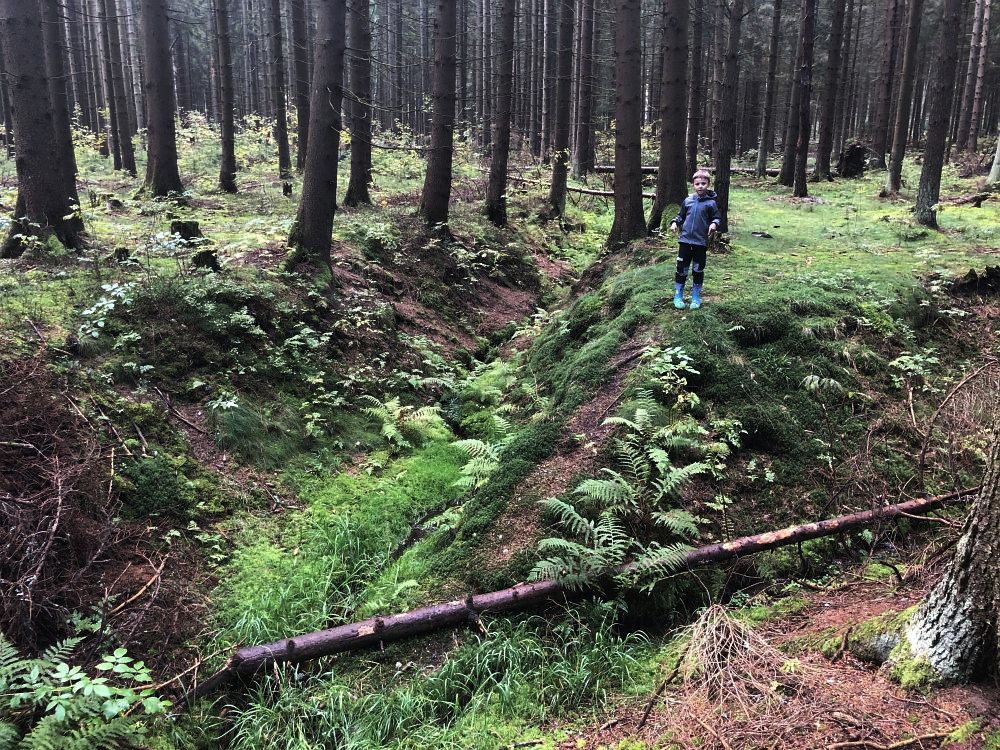 Tady bude stát náš nový lesní bunkr