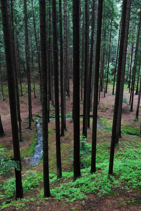 Zajímavý tvar řečiště