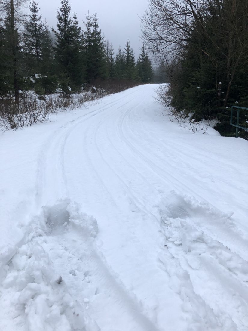 Dál už to moc nešlo