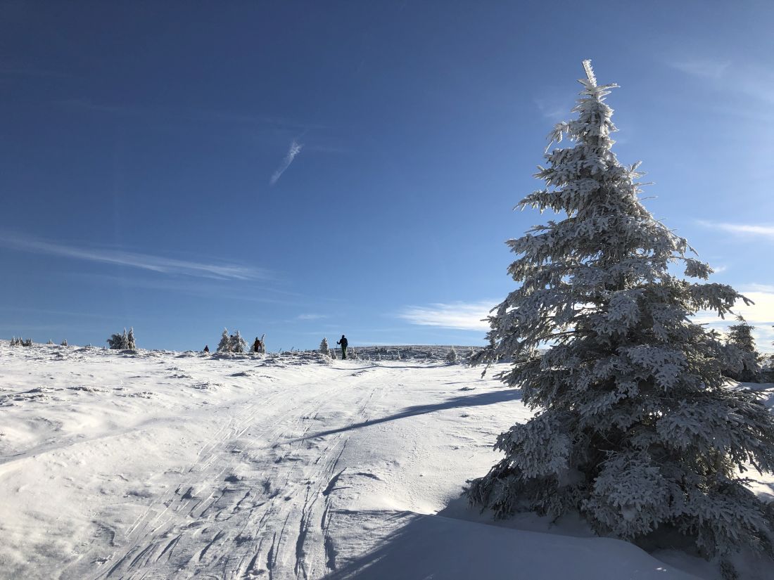 A opět hřebínek na Petrovy kameny