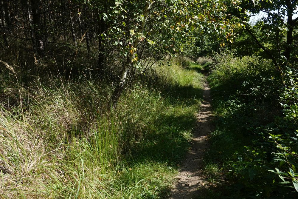 Krásné cestičky hned od začátku