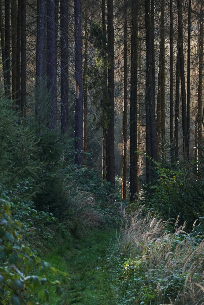 Po červené kolem Dalešic