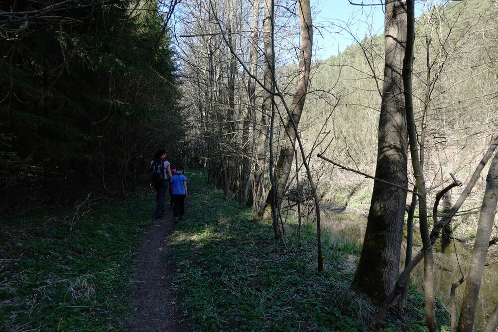 Po modré proti proudu