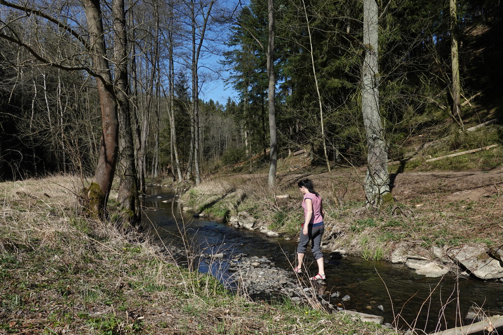 Maky vlezla do vody první