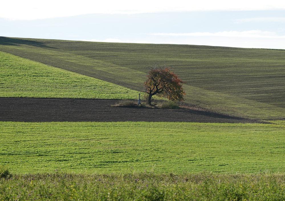 Focení z velké dálky