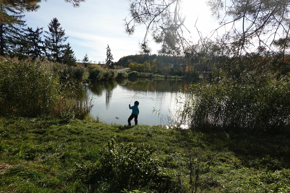 Rybník zvaný U Myslivny