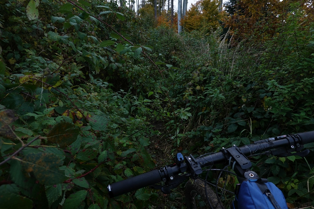 Žlutá značka z Předklášteří do Nelepeče