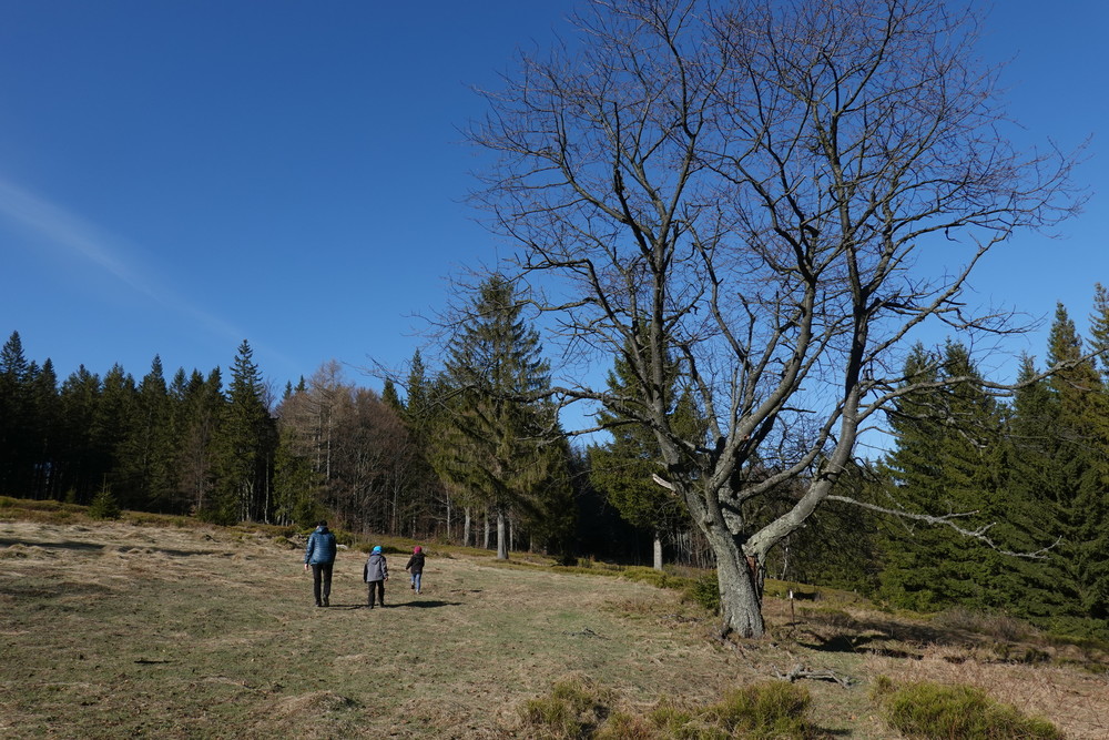 Vycházíme na první výpravu