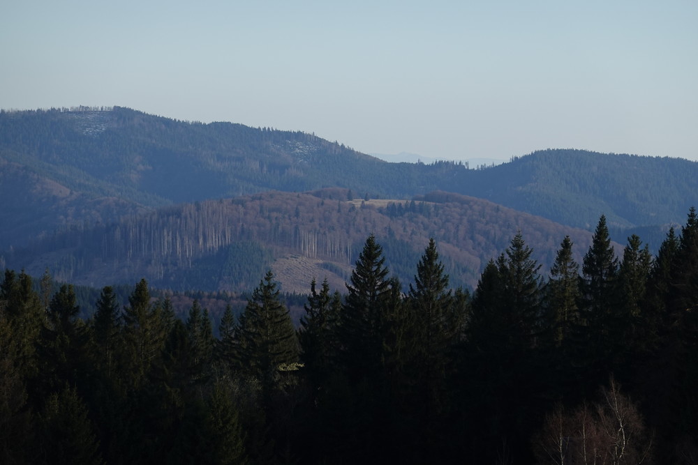 Polonina v Mionší, za ní Velký polom a sedlo Muřinkový vrch