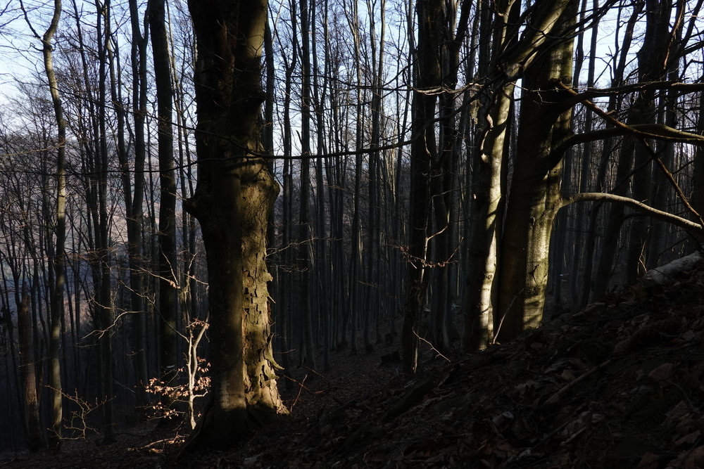 V podvečer pod chatou