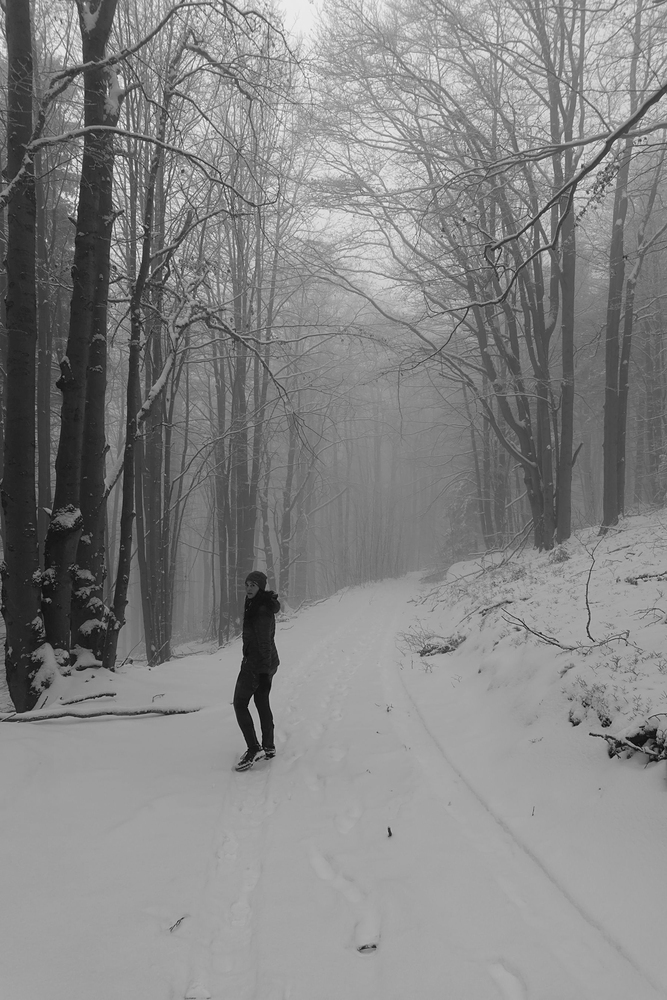 Naučná stezka, po které jsme kdysi vezli Matýska