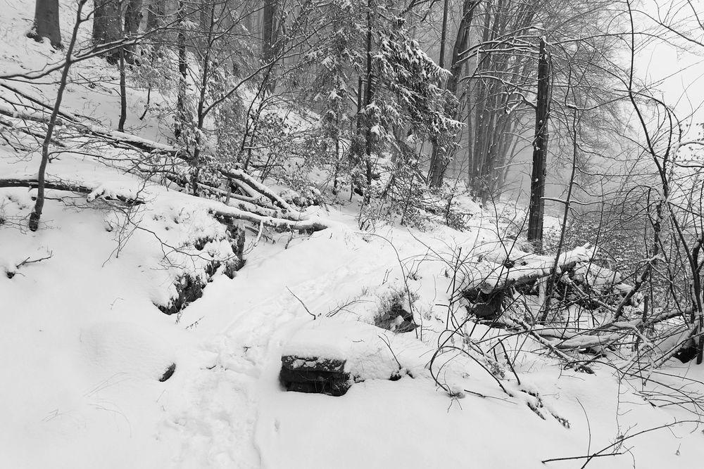 Tady vede stezka středem domu