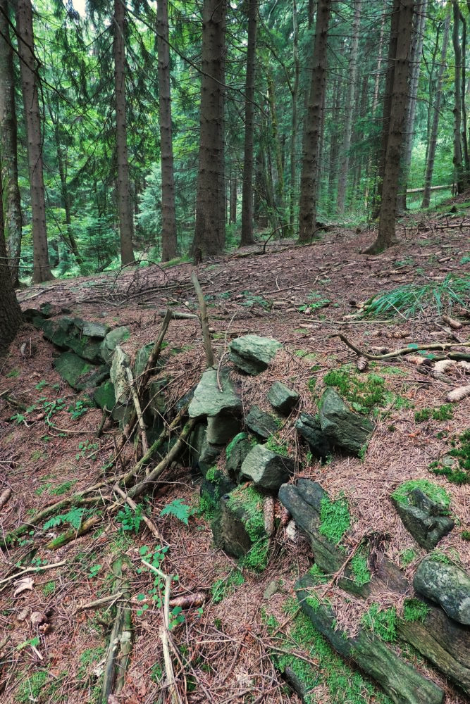 Památky na dávné časy v okolních lesích