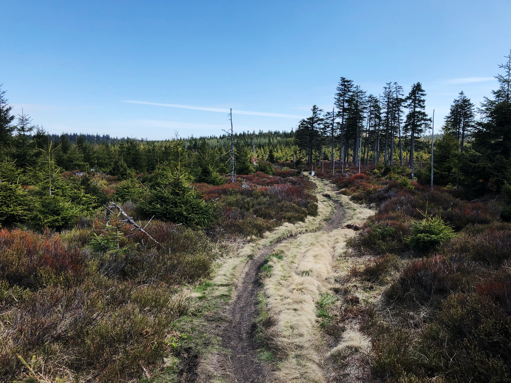 Po hranici s Polskem