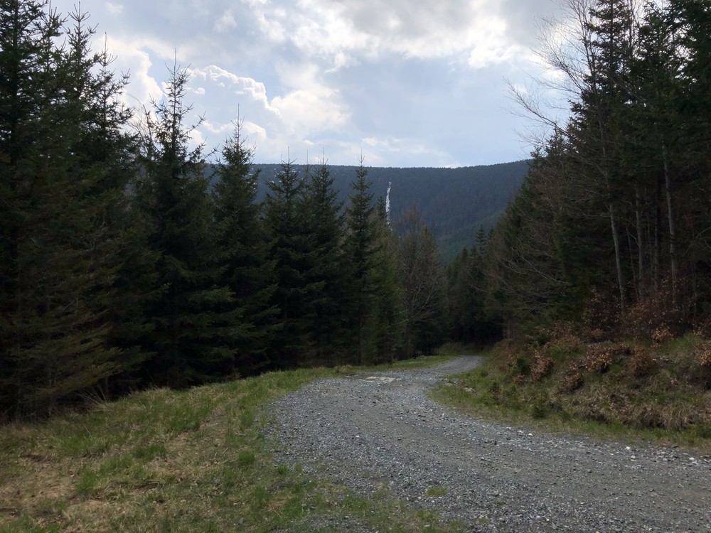 Dlouhé stoupání na Šerák, objevují se zbytky sněhu