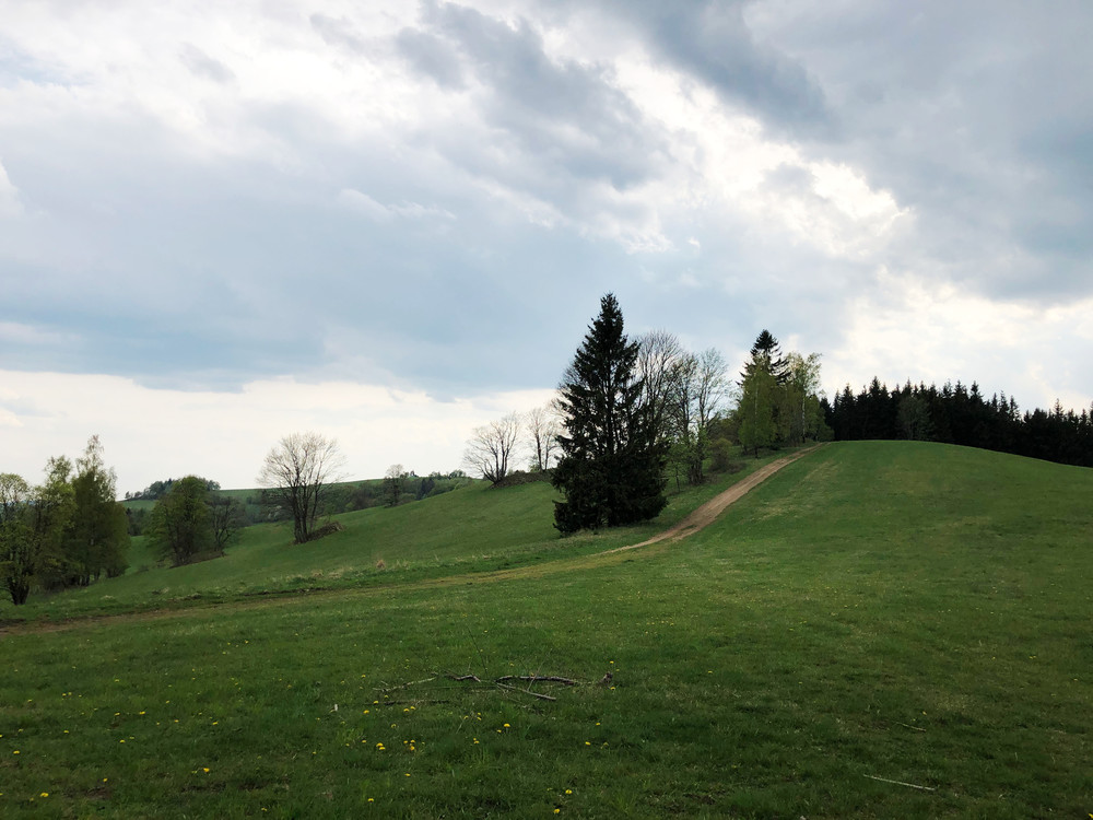 Místo zvané "U líp"