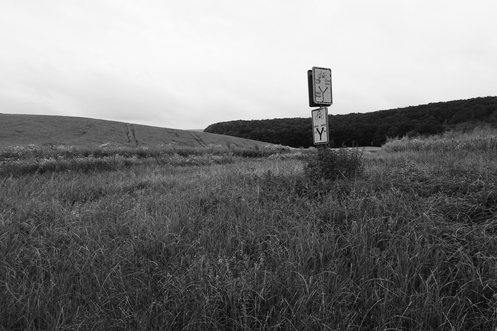 Cesty zarůstají, rozcestník stojí