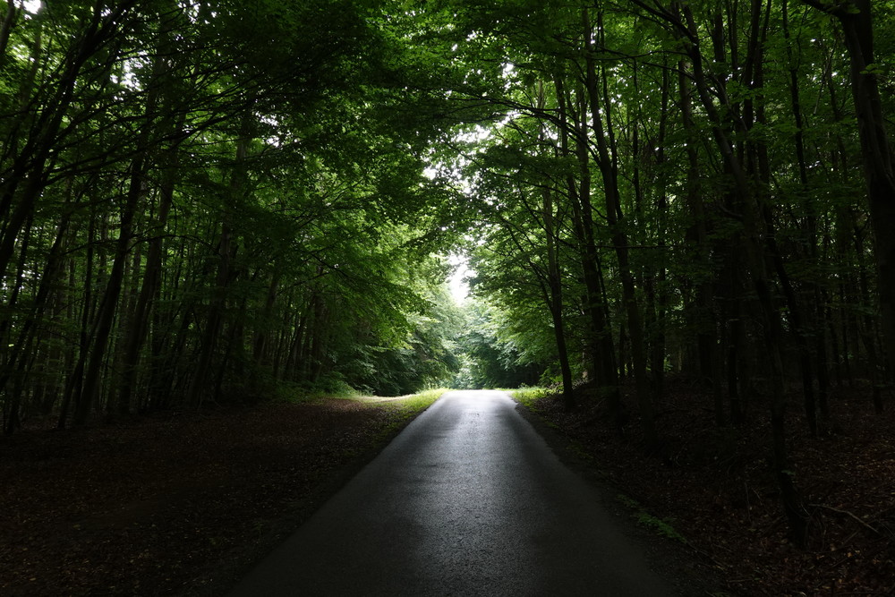 Ždánický les a asfaltová hřebenovka