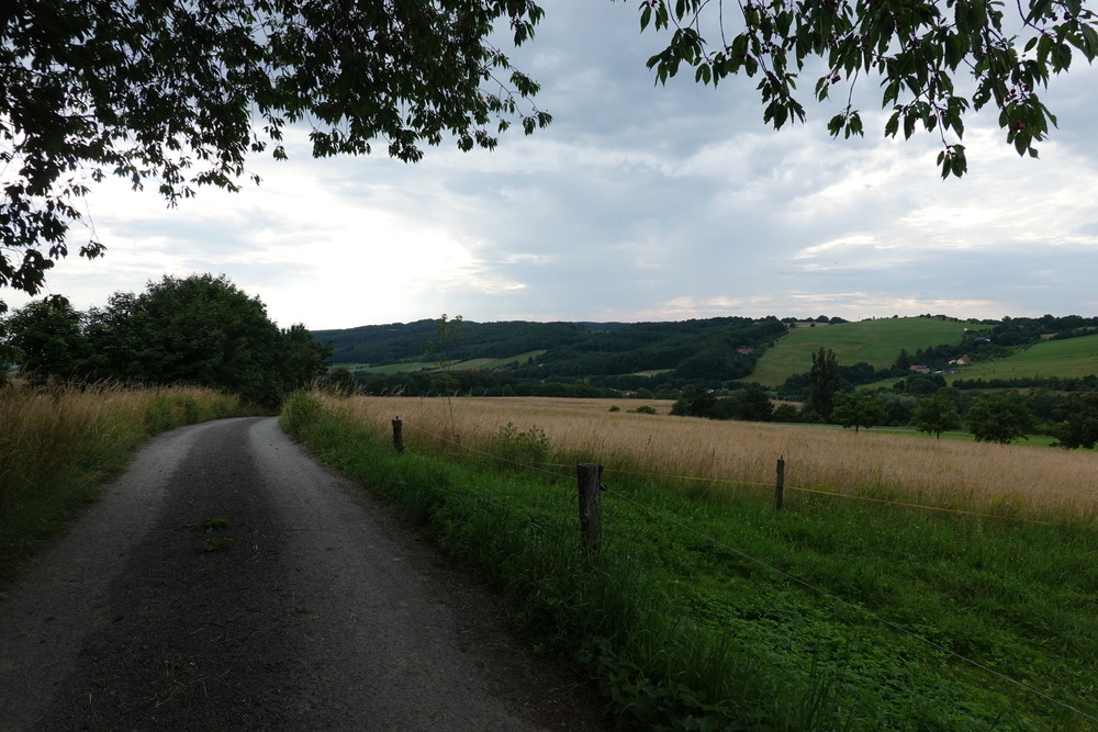 Cpu se třešněma a koukám do krajiny