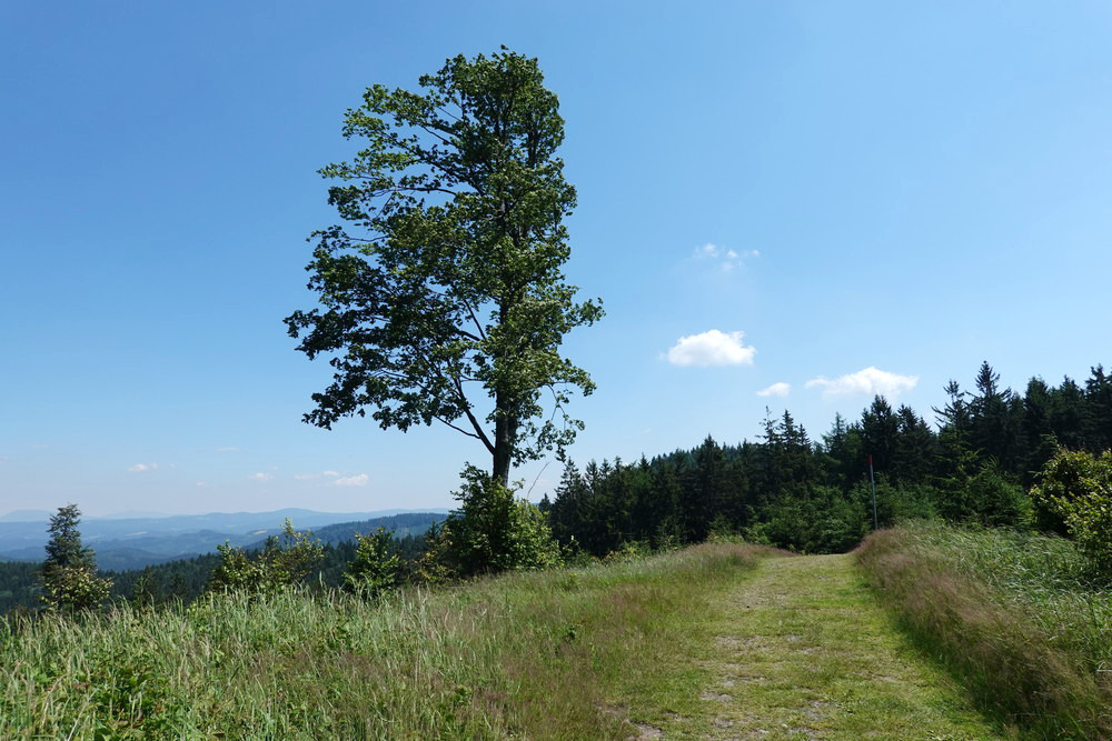 Kousek pěkné cesty