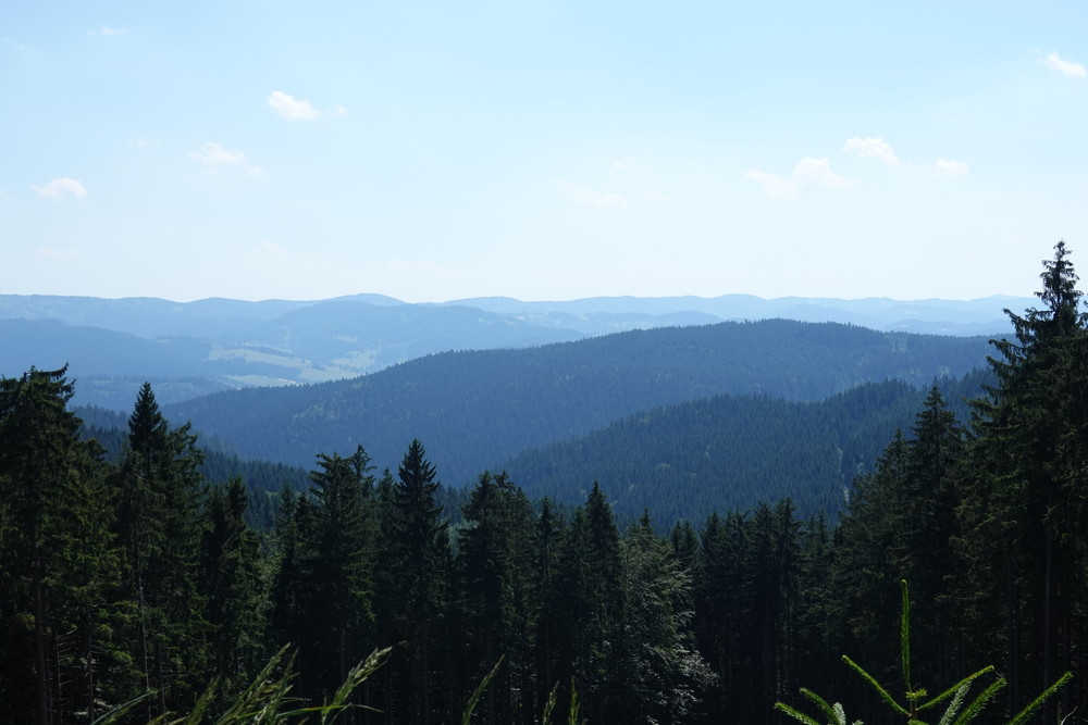 Hřeben Javorníků, který jsem chtěl původně projet