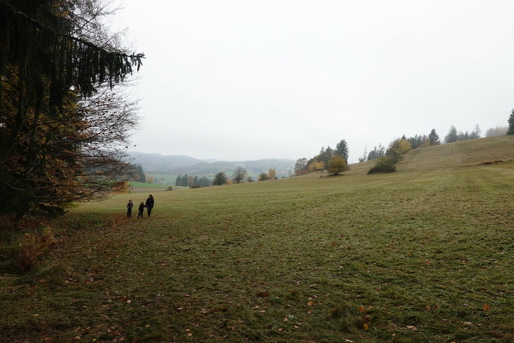 Blížíme se k lesu