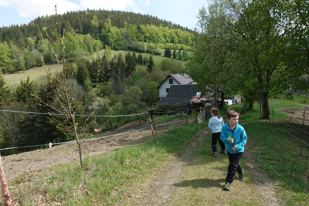 Kolem nás ohrady s koněma