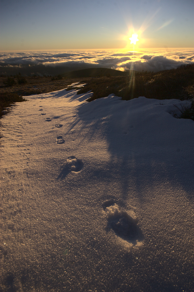 Pojď v mých stopách