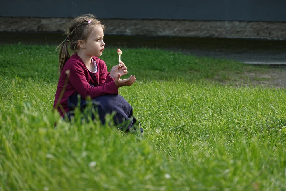 Nanuk cestou z Čertoviny