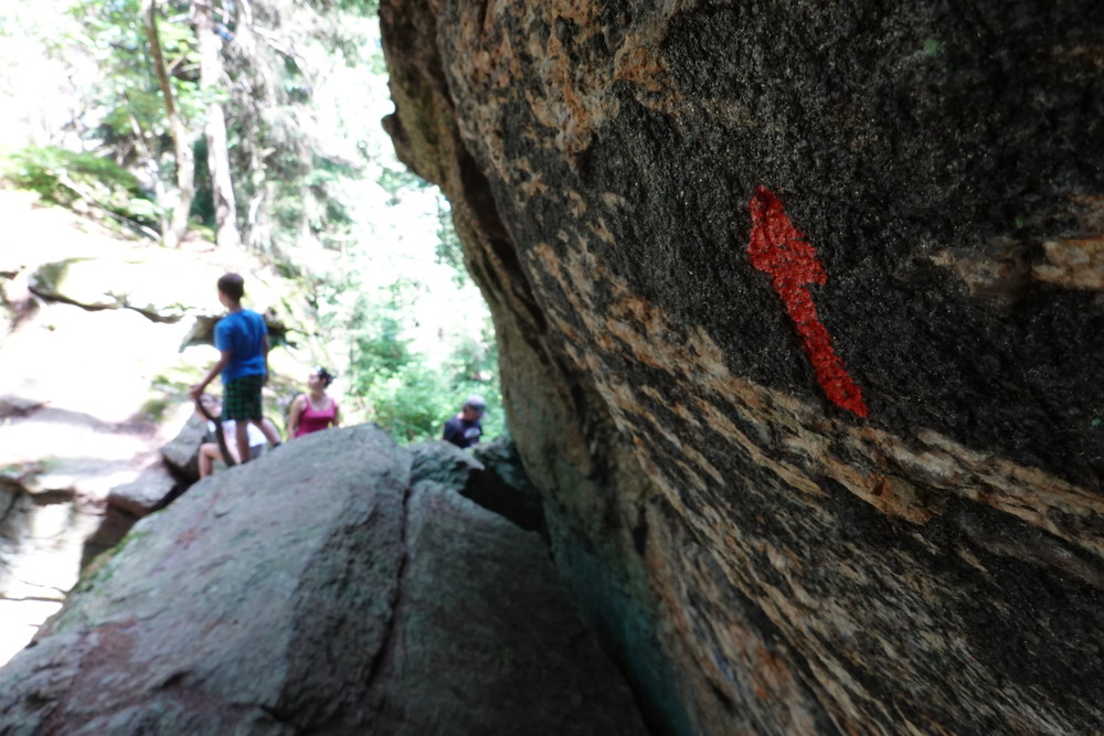 I lezecké cesty se tady najdou