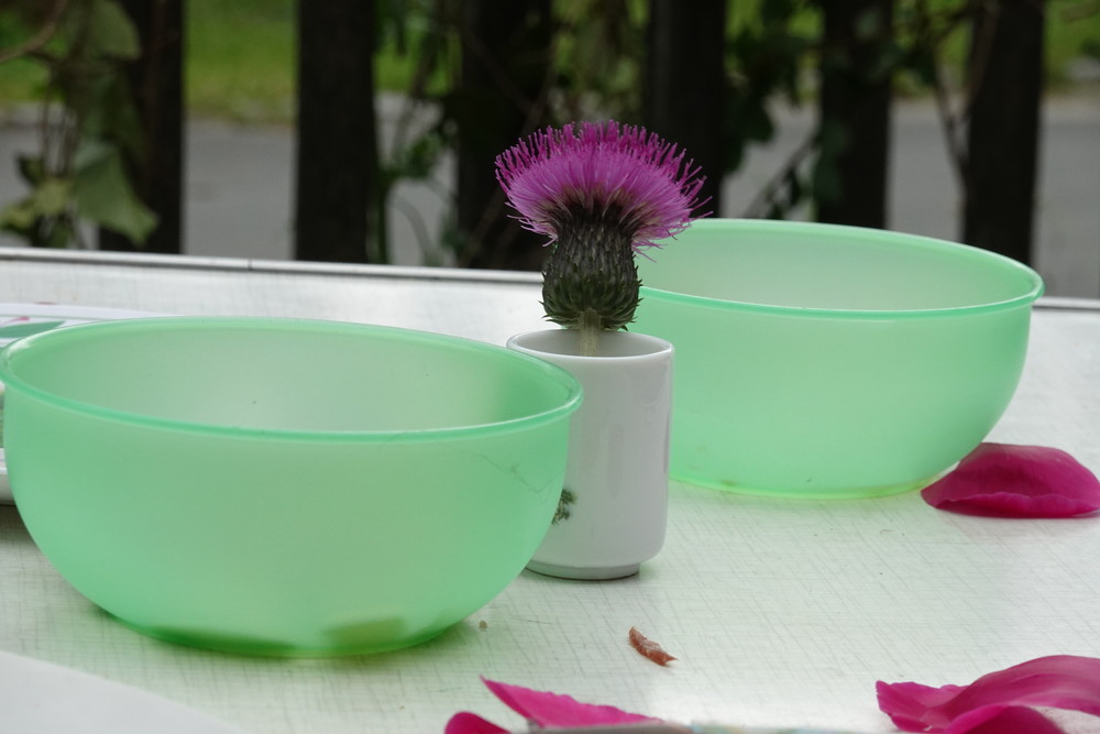 Adélka nezapomněla postavit na stůl kytku