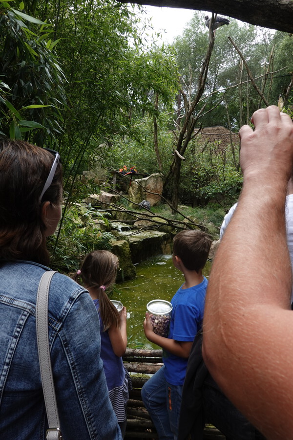 S borůvkovými popcorny
