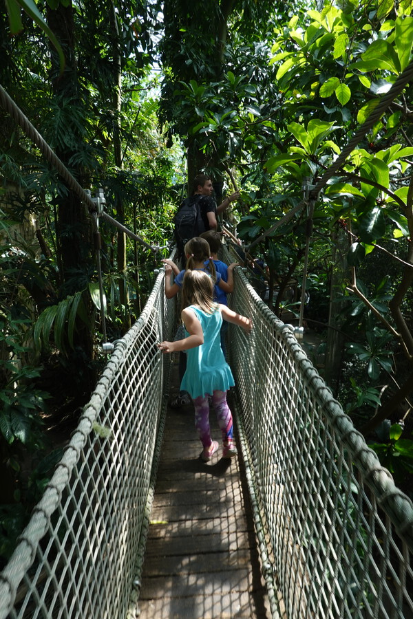 Tady se všem líbilo