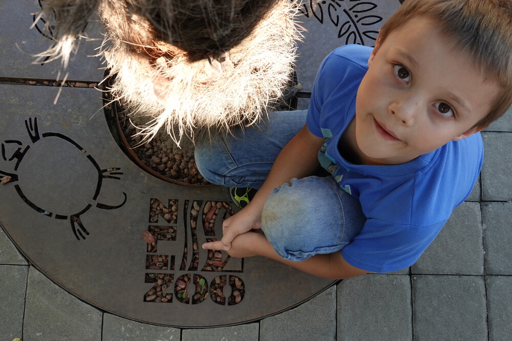 Logo mají pěkně vymyšlené