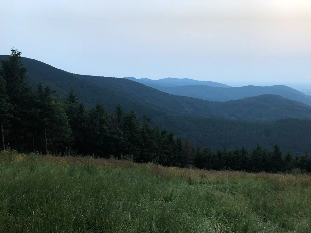 Před setměním na Javorovém