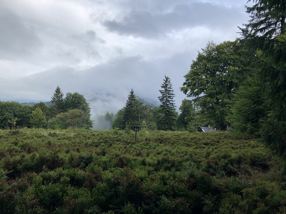 Na skok k naší chatě