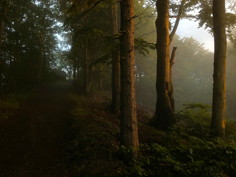 Boudička na Filipce