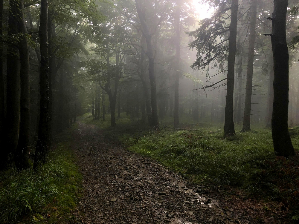 Na hřebeni mezi Ostrým a Javorovým