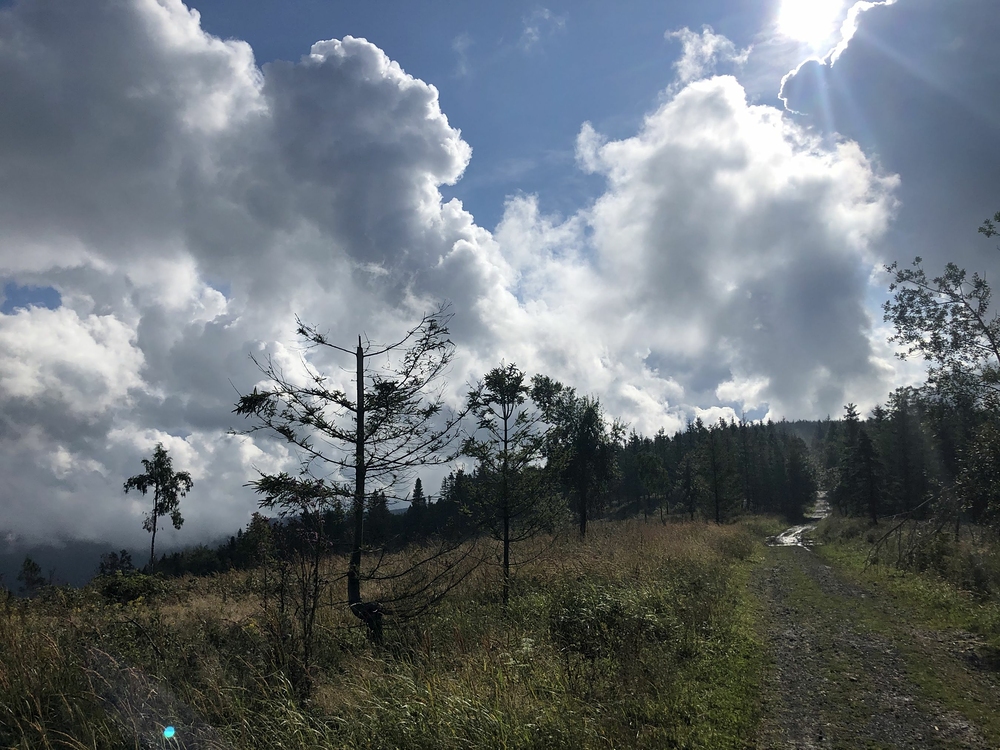 Velký Javorový, za pár hodin tudy projde několik tisíc lidí (B7)