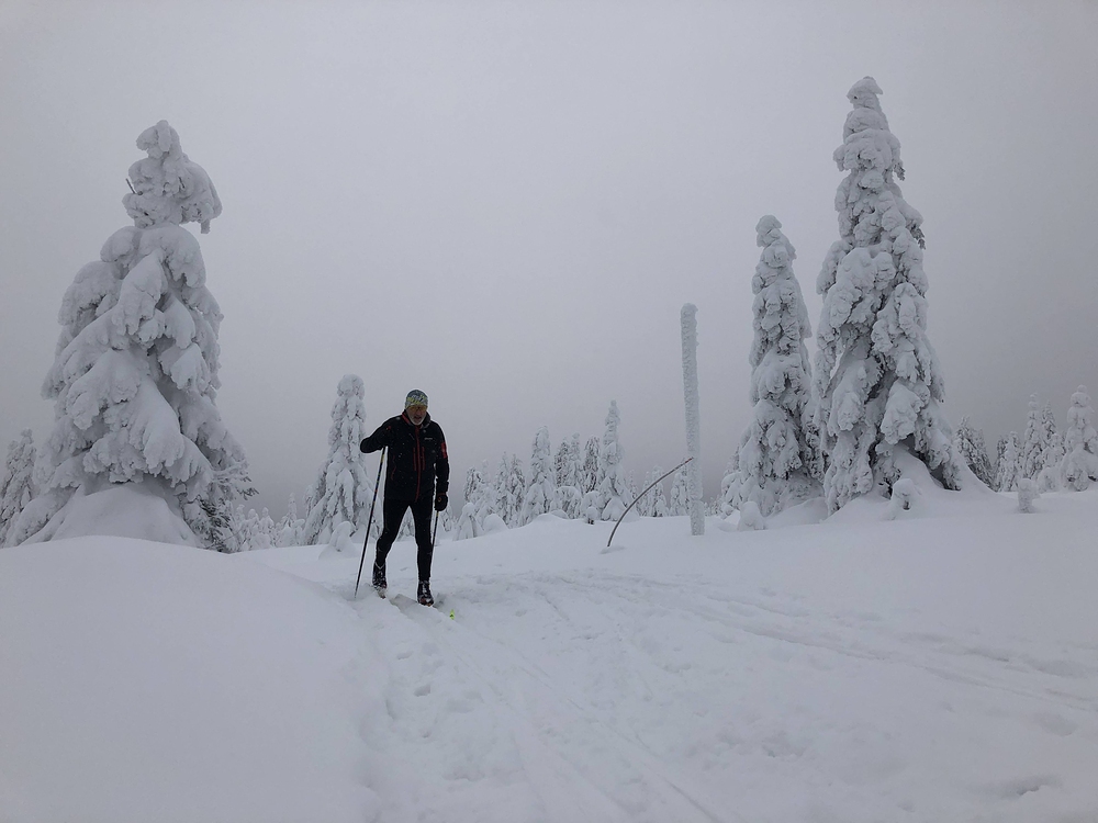 Rychlebská hřebenovka