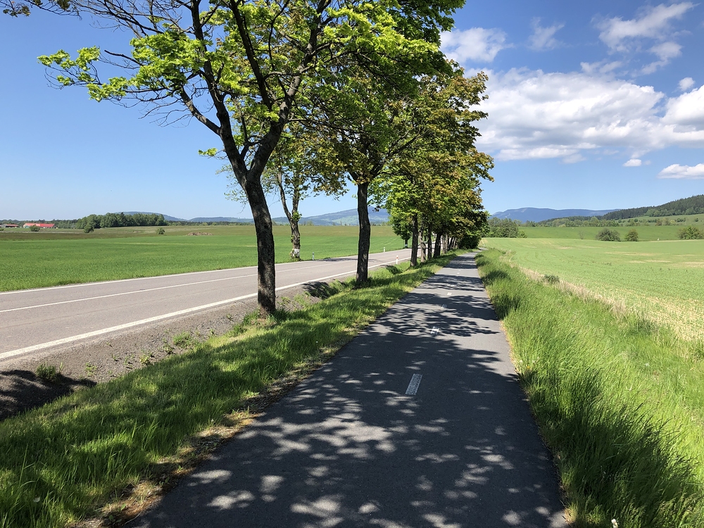 Cyklostezka z Červené vody do Králík