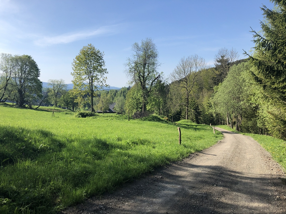 Do Velkého Vrbna pěšky