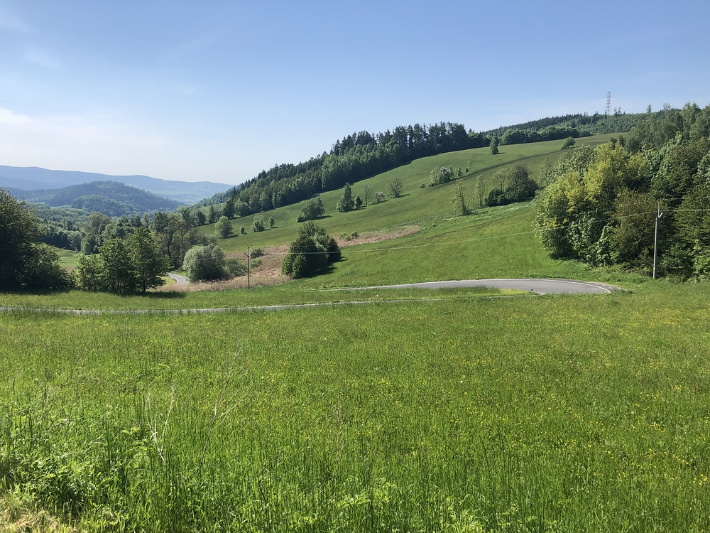 Pětihvězdičkový sjezd do Rejchartic, ujel jsem všem autům