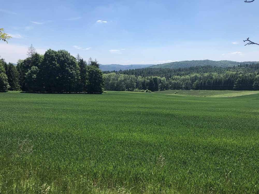 Vzadu je vidět hrad Bouzov