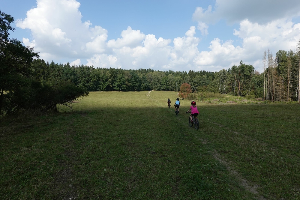 Po loukách mezi kravami
