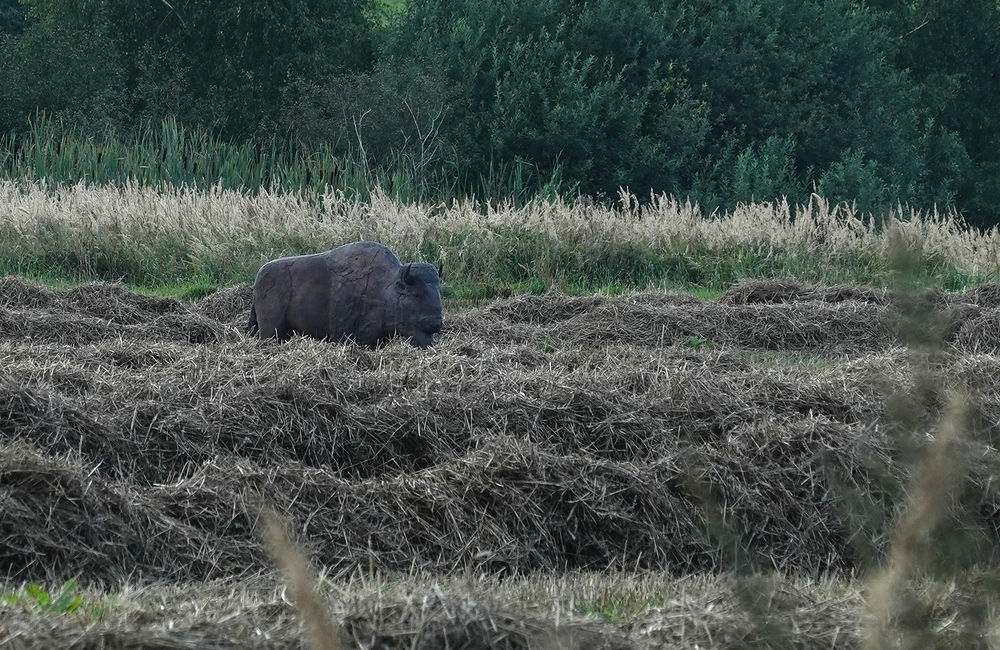 Matýska tohle dost vyděsilo