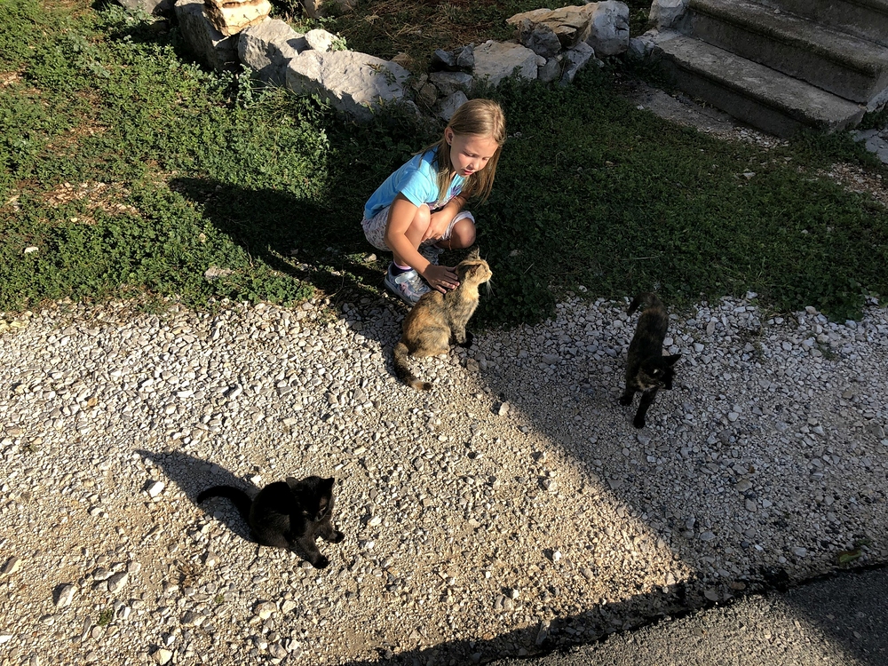 Adélka a její kočičky, museli jsme na to místo pravidelně jezdit
