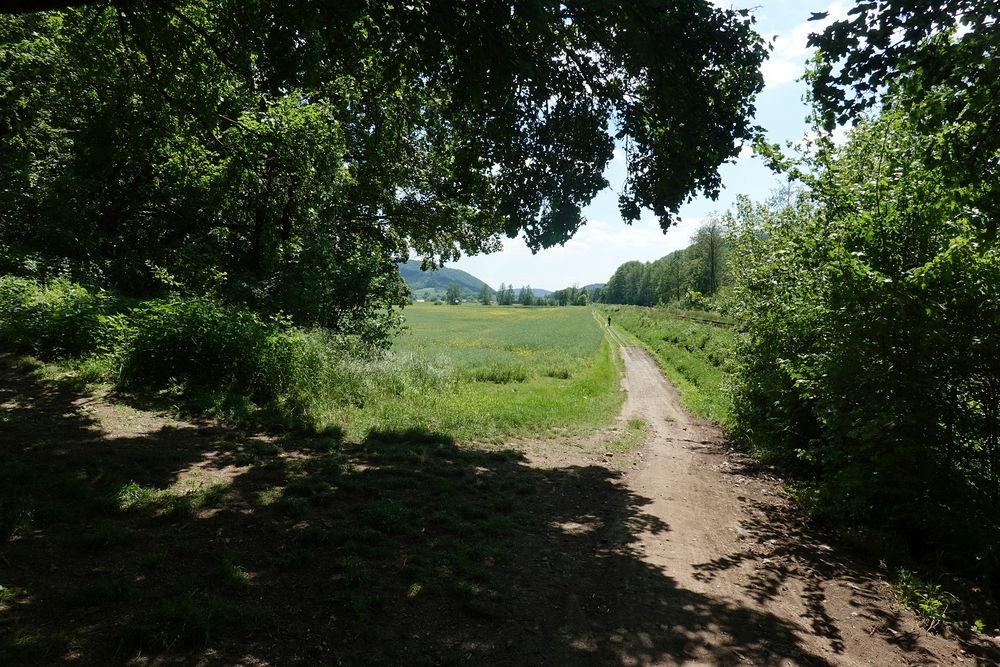 Ze Štěpánovic vede tohle