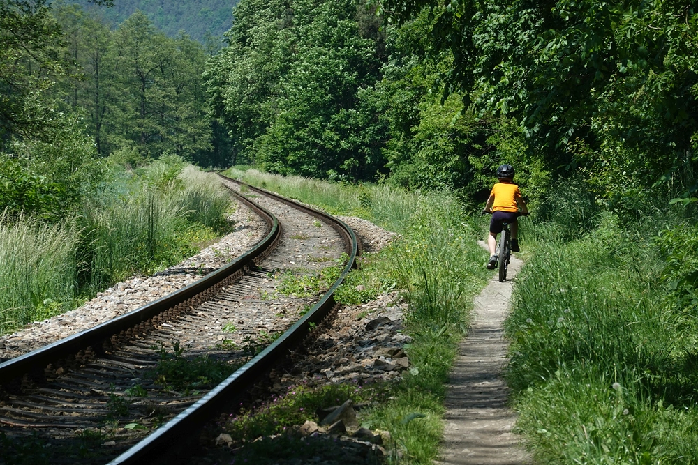 Podlél trati až do Borače